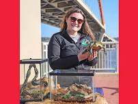 Carpenter Nature Center’s Animals of the St. Croix