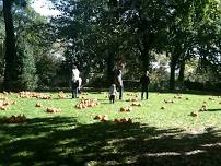 Carl Schurz Park's Annual Harvest Festival