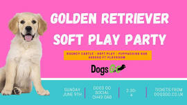 Golden Retriever Soft Play Party