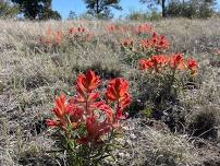 Tracks and Trails — Easy Peasy Pioneer Park and Willow Lake