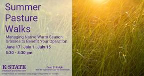 Summer Pasture Walk – Regenerate Human Resilience & Optimize Grass Productivity