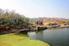 Private Half-Day Trekking Tour to Ranthambore Fort: Ancient Structures, Temples and Wildlife