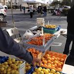 Santa Maria Farmers Market