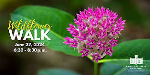 Wildflower Walk