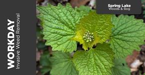 Invasive W**d Removal Workday: Garlic Mustard