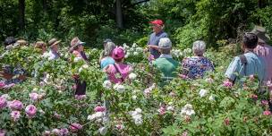 Rose Garden Tour with Rosarian Stephen Scanniello