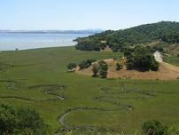 Bay Nature Hike: China Camp in San Rafael