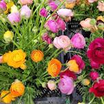 Flower Bar! poppies and ranunculus!