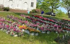 Mother's Day Flower Sale