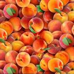 Peach Festival