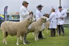 Royal Three Counties Show