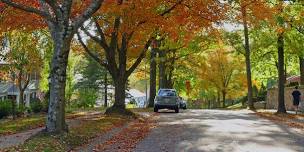 Yard Waste Drop-Off