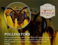 Little Explorers: Busy Bees and Pollinator Pals