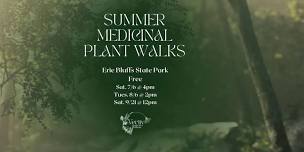 Free Summer Plant Walks at the Bluffs