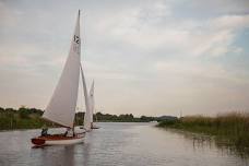 Summer Solstice Guided Broads Ranger Walk