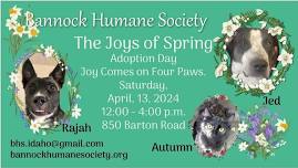 April Adoption Days