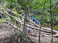 TimberNook at the Avon Hills Folk School: Dynamic Forts & Food Frenzy