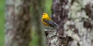 Baton Rouge Audubon 50th Anniversary Celebration