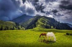 3 Days Tour to Naran, Kaghan, Shogran