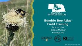 Nebraska Bumble Bee Atlas - Hastings Field Training