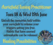 Auricfield Tuning Practitioner Course over 2 days