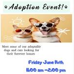 Humane Society of Macomb Adoption Event -8