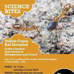 Science Bites - Yellow Crazy Ant Invasion