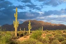 Maricopa County Parks and Recreation: Nature Hike