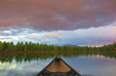 Summer Soiree — Friends of Baxter State Park