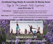 Yoga In The Lavender Field!