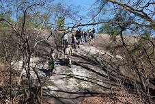 Friends of Panola Mountain Extended Hike