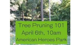 Tree Pruning by Nebraska Forest Service Community Forester, Graham Herbst