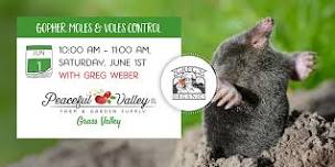 Gophers, Moles & Voles Control