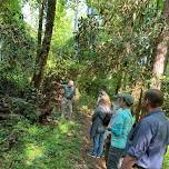 Guided Nature Hike- Trillium Trail