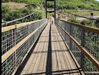 Jump into Spring Hike @
Bear Canyon Suspension Bridge Trailhead Hike