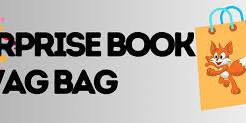 Surprise Book Swag Bag (for Teens)