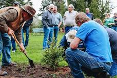 Smitten Apple Tree Planting