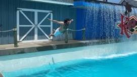 Father's Day Flop Contest