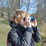 Birding for Families