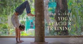 300 Hour fluidUs Yoga Teacher Training | Yoga Alliance RYS, YACEP