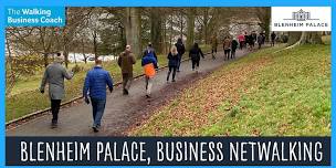 Business Netwalking in Blenheim Palace, Oxon. Wed 16th Oct, 9.30am-11.30am