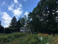 Evening Birding at Constable Hall