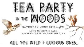 Tea Party in the Woods - Long Mountain Park