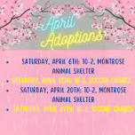 Montrose April Adoptions