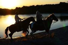 Private 2-Hour Horseback Tour from Punta Cana: Experience Natural Landscapes and Local Cuisine