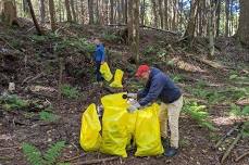 Invasive Species Workday: Garlic Mustard Challenge at Lehovec Natural Area