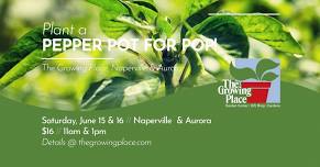 Plant a Pepper Pot for Pop