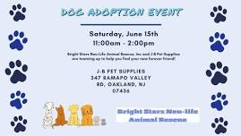 Dog Adoption with Bright Starz Nue-Life Animal Rescue