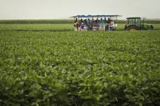 Northern Missouri REEC Field Day at Greenley Research Farm