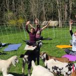 Yoga at the Ranch II